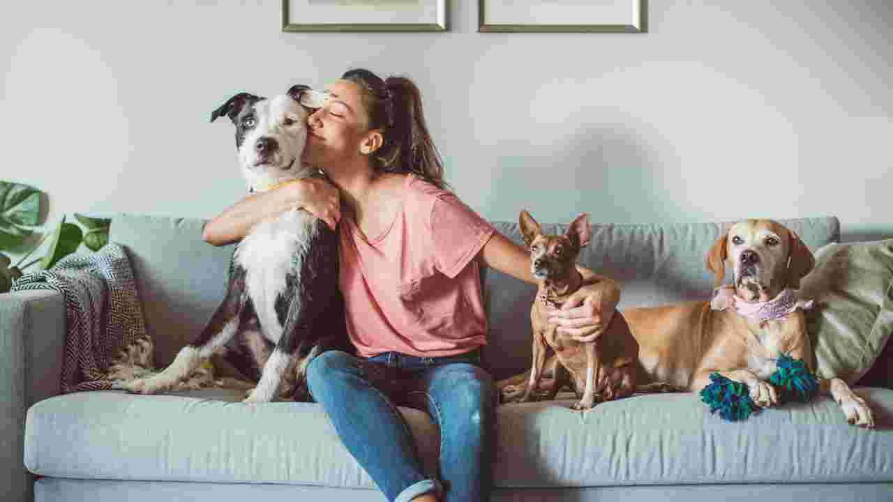The Best Candles For Pet Odor