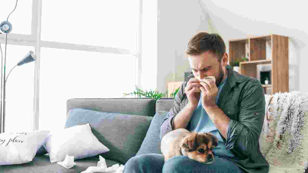 What is the Best Pet for Allergies?
