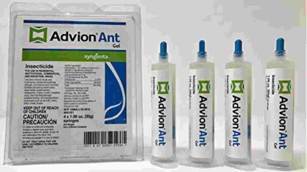 Advion Ant Gel Stations Pet Safe Ant Killer Indoor
