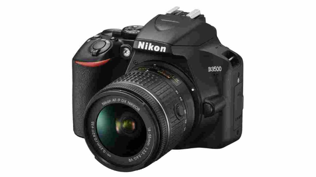 Nikon D3500 Best Camera For Pet Photography