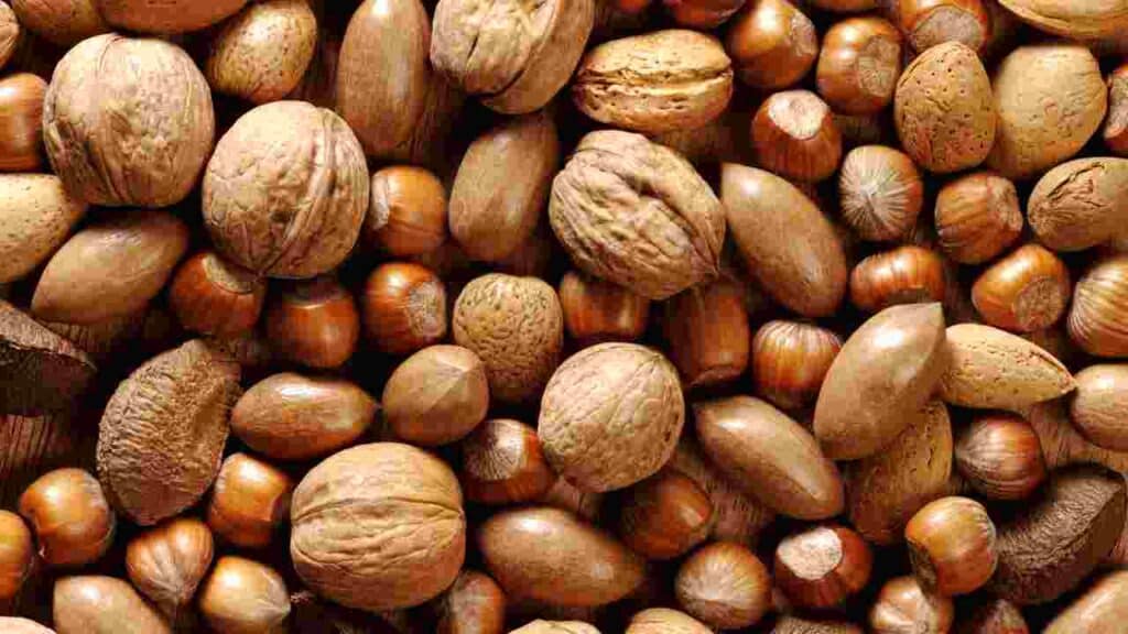 Tree nuts Top 10 Food Allergies