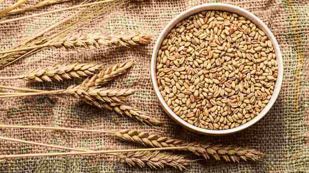 Wheat Top 10 Food Allergies