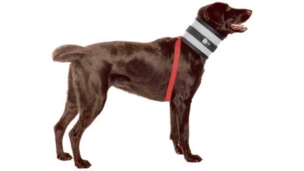 BiteNot Collar Dog Neck Protector