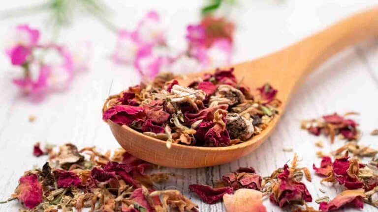 Herbs for Self Love: Nourishing Your Mind, Body and Soul