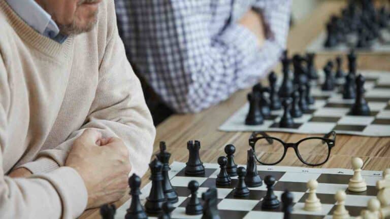 What Chess Set Do Pros Use? A Comprehensive Guide To The Best Chess Sets