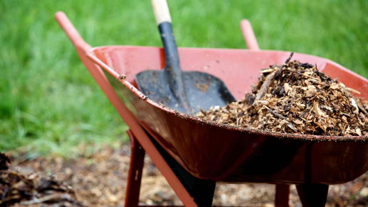 Mulching: How To Be A Good Gardener