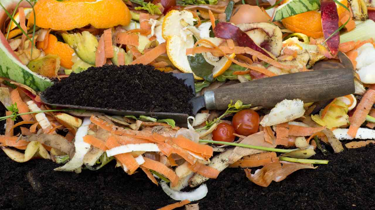 Soil Composting: How To Be A Good Gardener